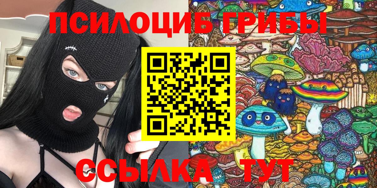 купить   Галлюциногенные грибы Magic Shrooms  Вход с VPN  Шебекино  Псилоцибиновые грибы Psilocybe 